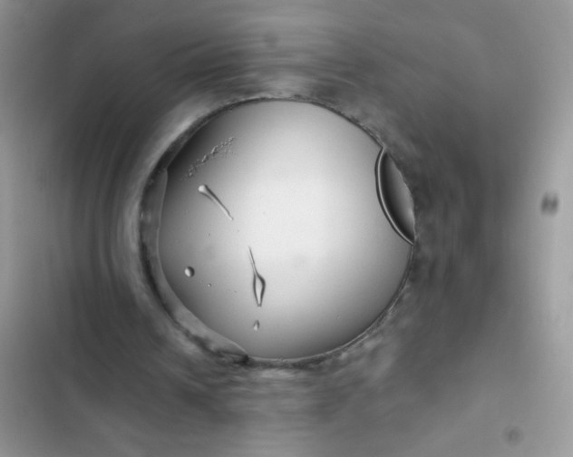 X0000102540242200808221935