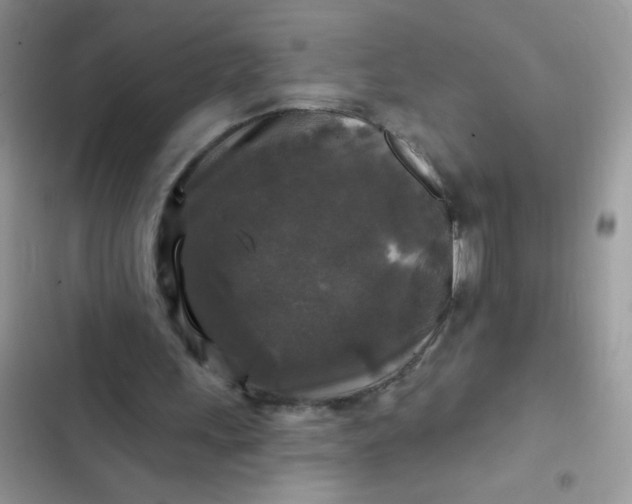 X0000102540243200808221935