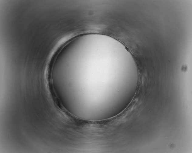 X0000102540244200808221935