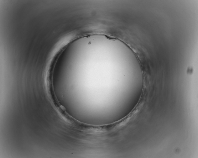 X0000102540245200808221935