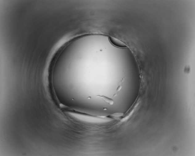 X0000102540246200808221935