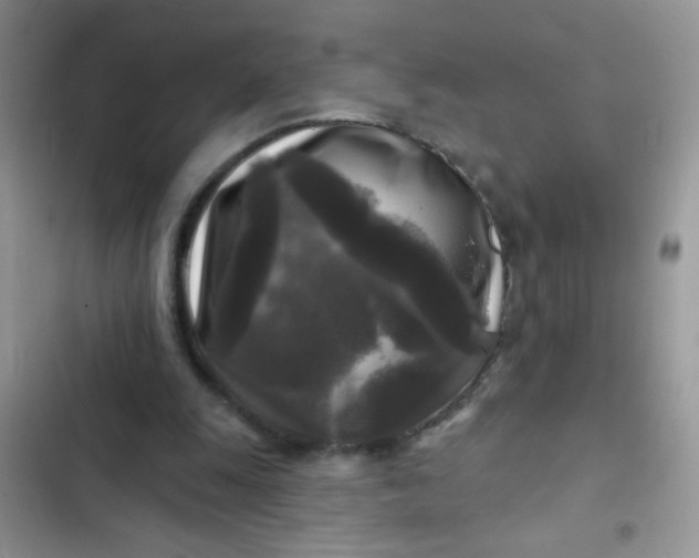 X0000102540247200808221935
