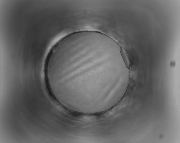 X0000102540248200808221935