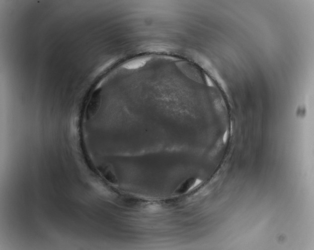 X0000102540249200808221935