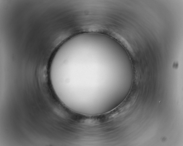 X0000102540251200808221935