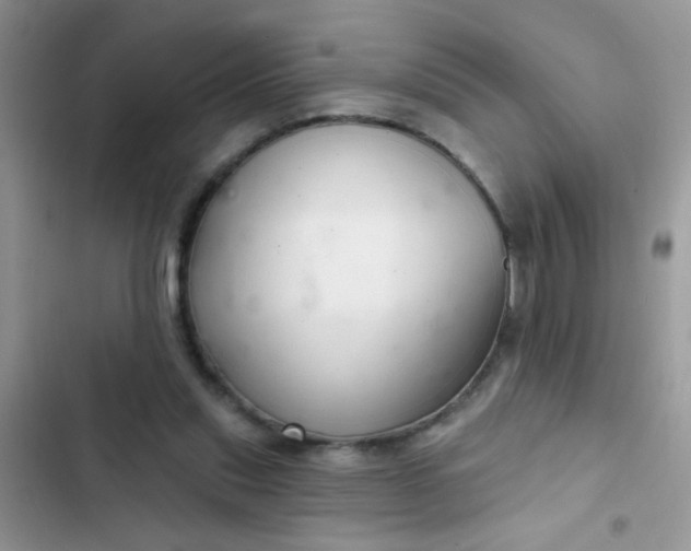 X0000102540253200808221935