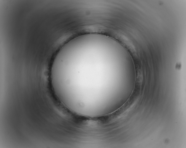 X0000102540255200808221935