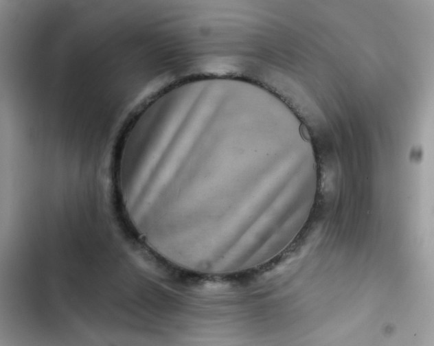 X0000102540256200808221935