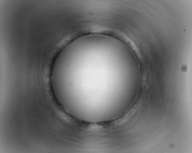 X0000102540257200808221935