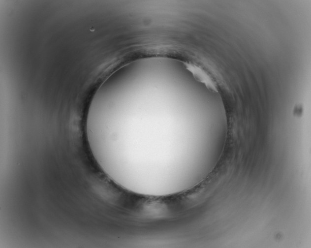 X0000102540258200808221935