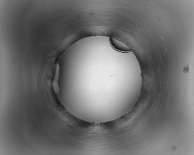 X0000102540259200808221935