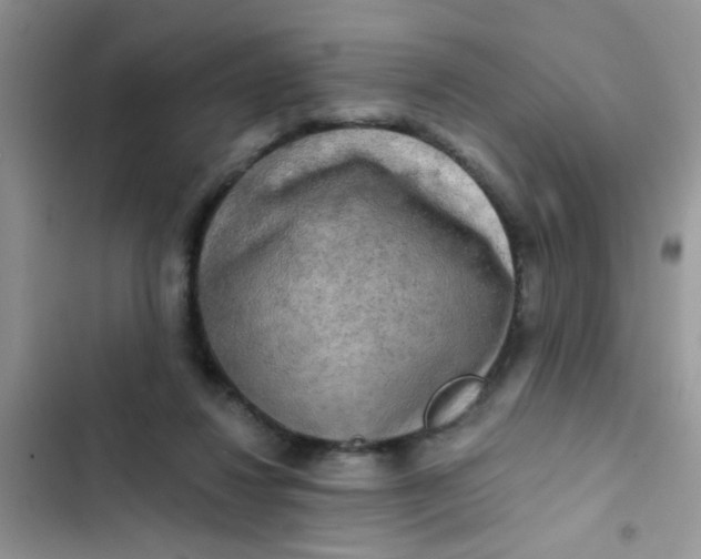 X0000102540260200808221935