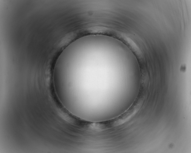 X0000102540261200808221935