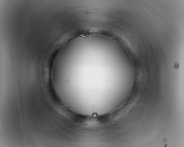 X0000102540262200808221935