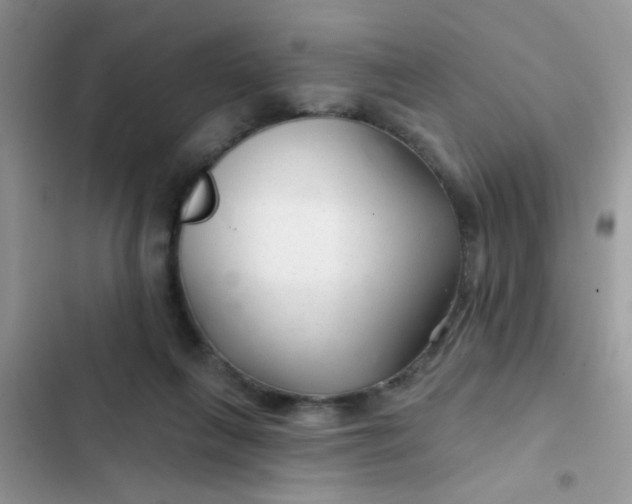 X0000102540263200808221935