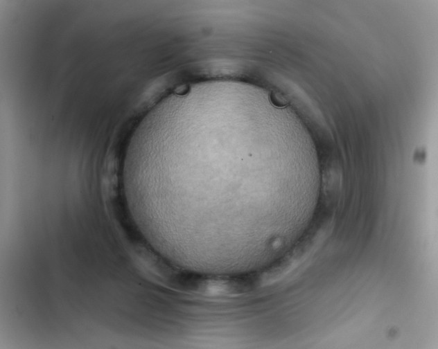 X0000102540264200808221935