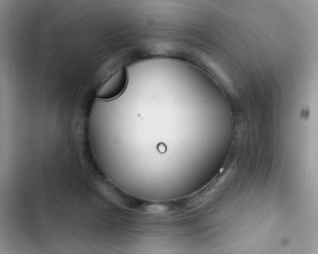 X0000102540265200808221935