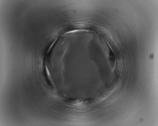 X0000102540267200808221935