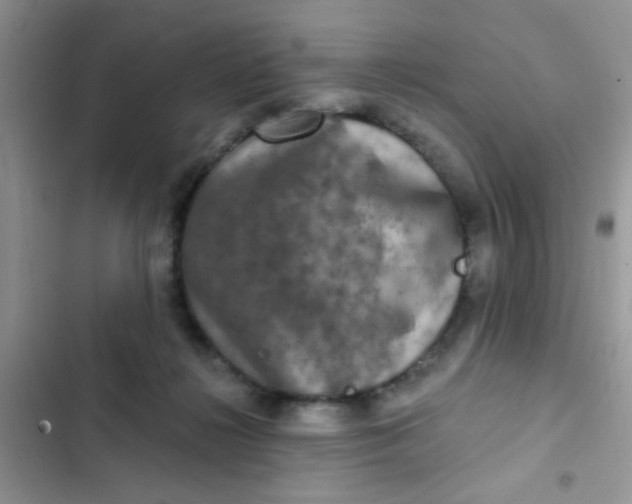 X0000102540268200808221935