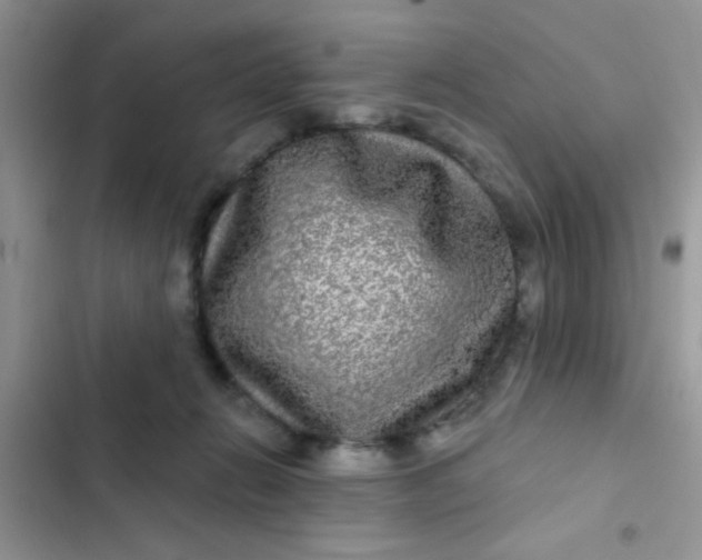 X0000102540270200808221935
