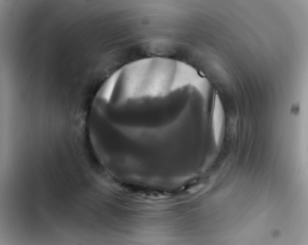 X0000102540271200808221935