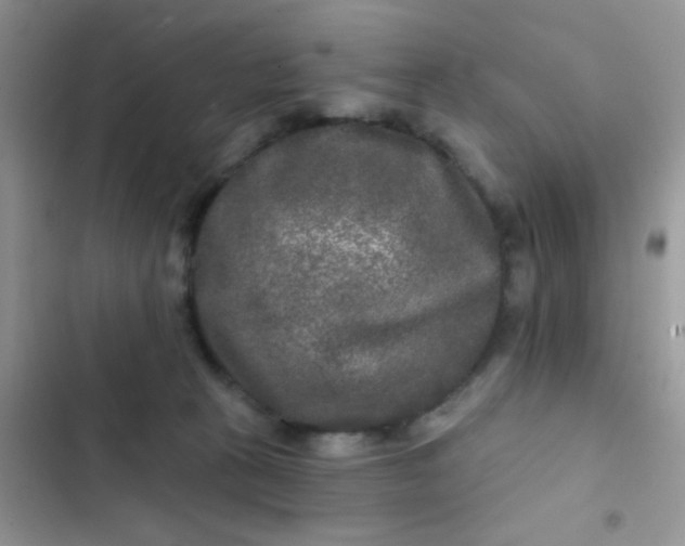 X0000102540273200808221935