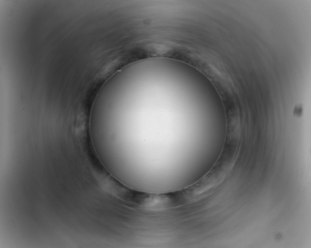 X0000102540274200808221935