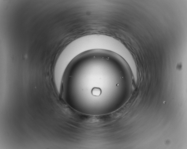 X0000102540276200808221936