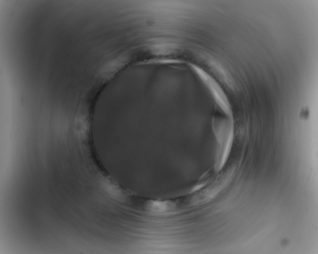 X0000102540277200808221936