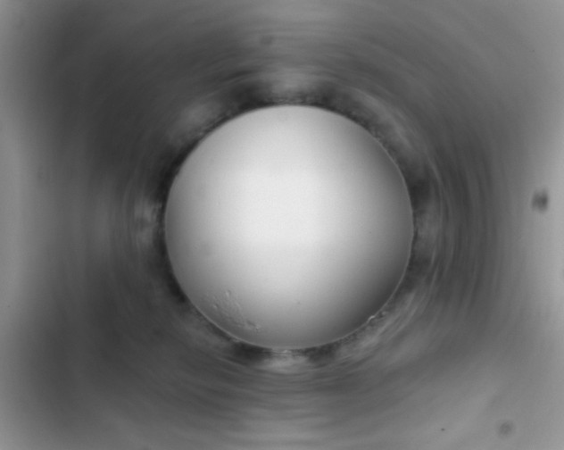 X0000102540278200808221936