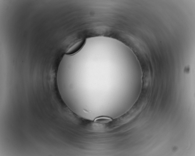 X0000102540279200808221936