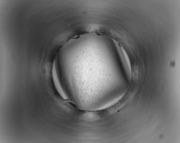 X0000102540280200808221936