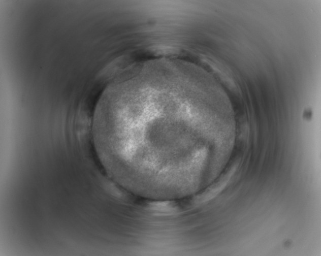 X0000102540281200808221936