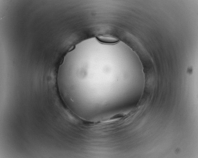 X0000102540282200808221936