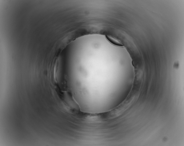 X0000102540283200808221936