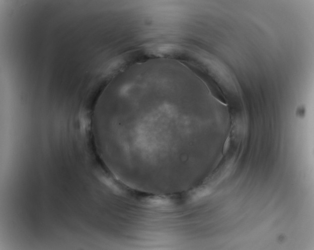 X0000102540284200808221936