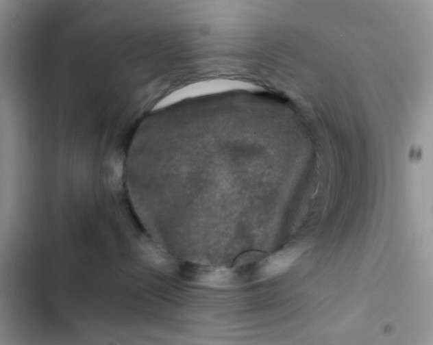 X0000102540288200808221936