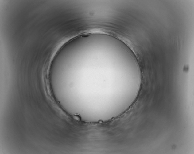 X0000102540289200808221935