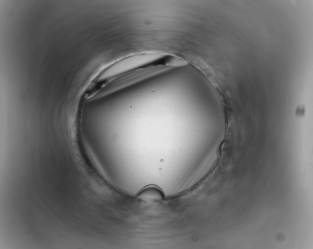 X0000102540290200808221935