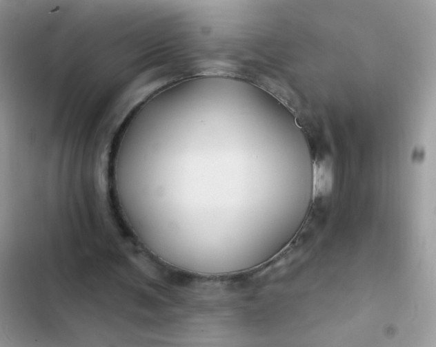 X0000102540291200808221935