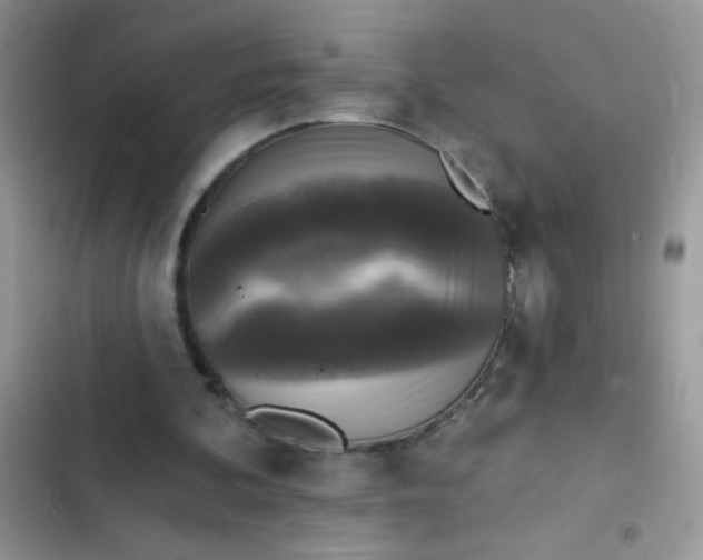 X0000102540292200808221935