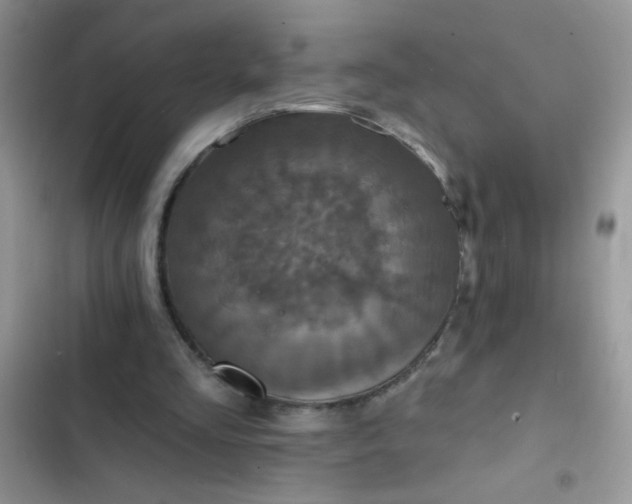 X0000102540293200808221935