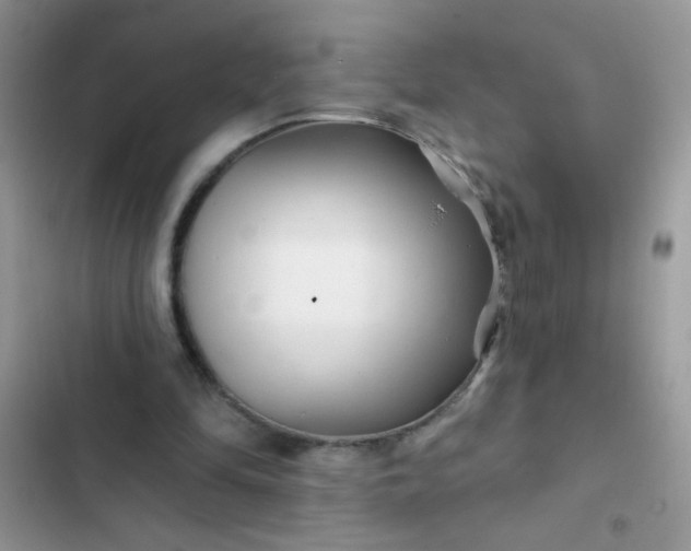 X0000102540294200808221935