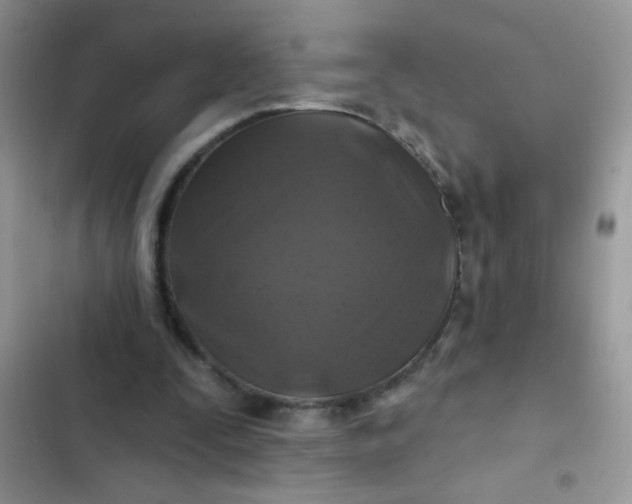 X0000102540295200808221935