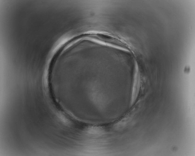 X0000102540296200808221935
