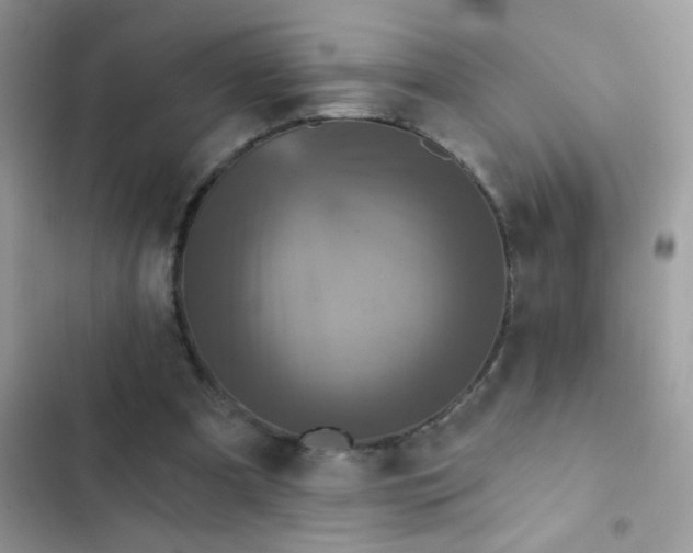 X0000102540297200808221935