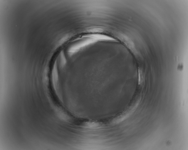 X0000102540300200808221935
