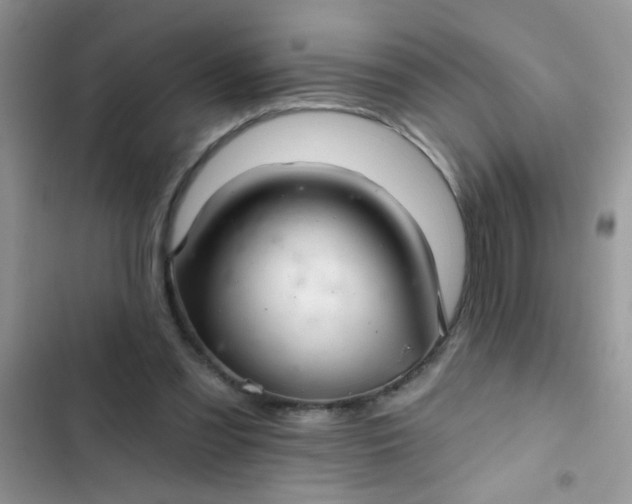 X0000102540301200808221935