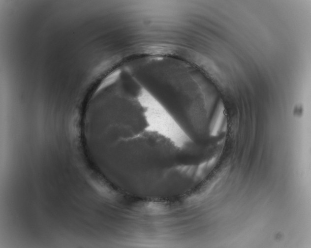 X0000102540303200808221935