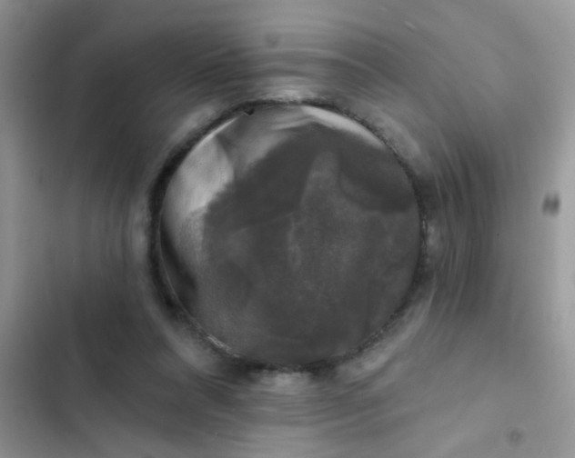 X0000102540304200808221935